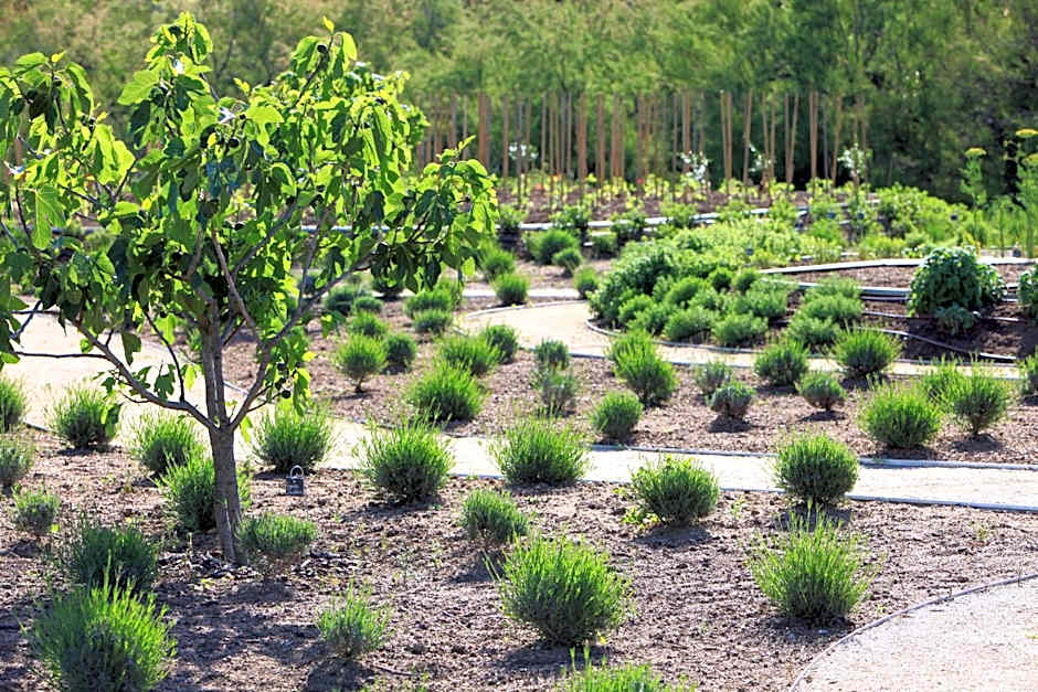 Grand Hôtel De Cala Rossa & Spa Nucca