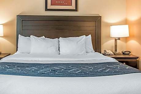 1 King Bed, Suite, Nonsmoking