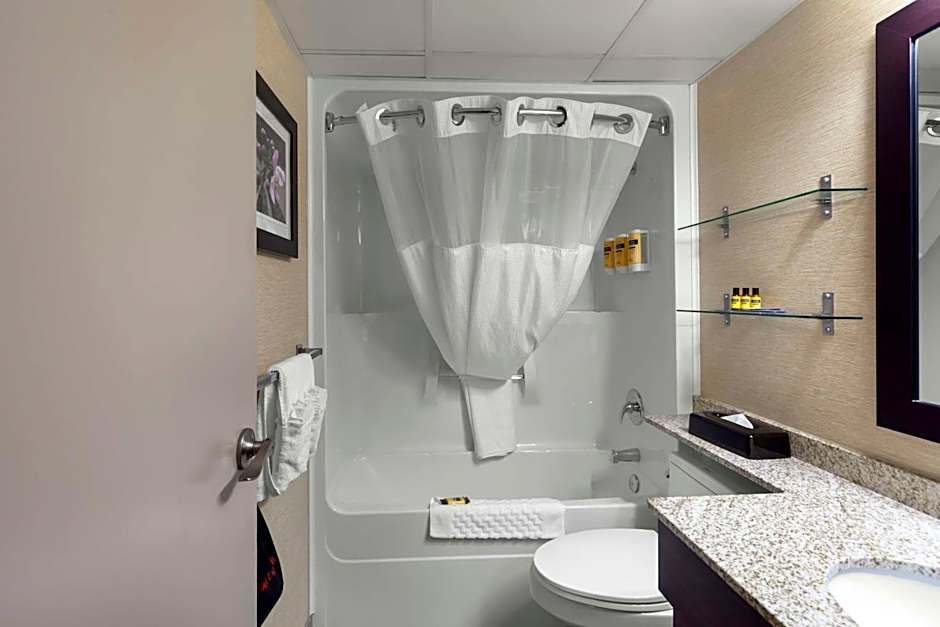 Best Western Plus City Centre Inn