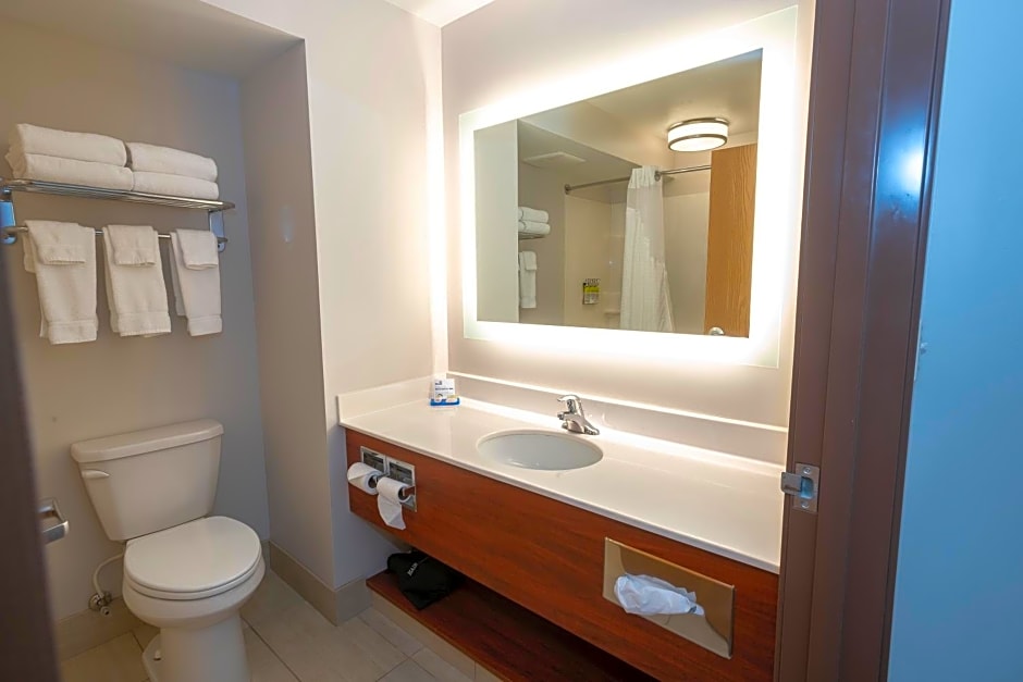 Holiday Inn Express Hotel & Suites Iron Mountain By IHG