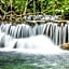 Reserva Ecologica Vive Copalitilla