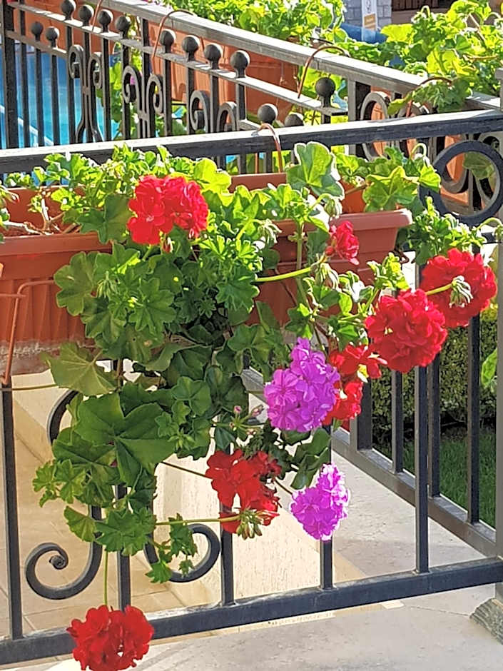 Boulevard Sea Residence