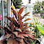 D Heart Homestay