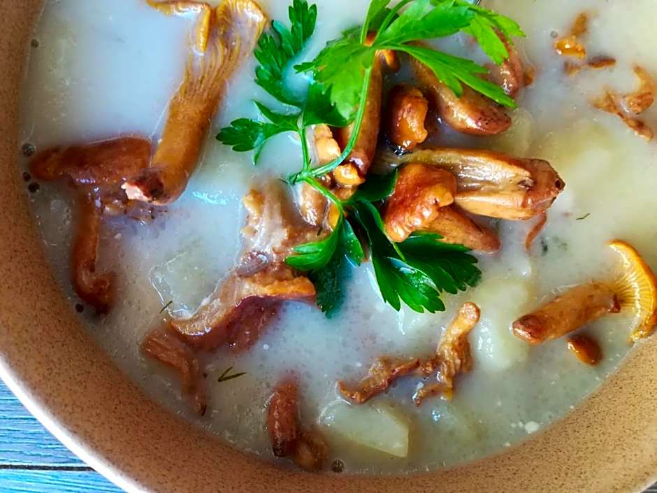 Hotel POD HERBEM -POKOJE OZONOWANE