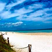 Ocean Surf Hotel