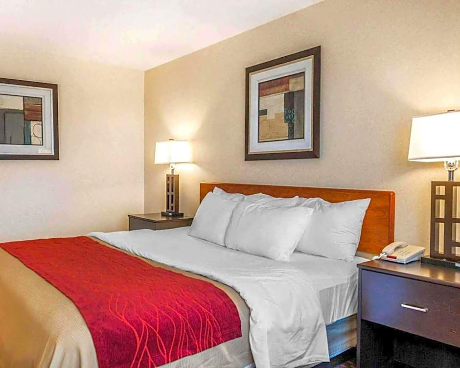 Comfort Inn Avon-Indianapolis West