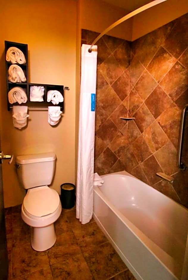 Hampton Inn By Hilton & Suites Jacksonville Beach Boulevard/Mayo Clinic