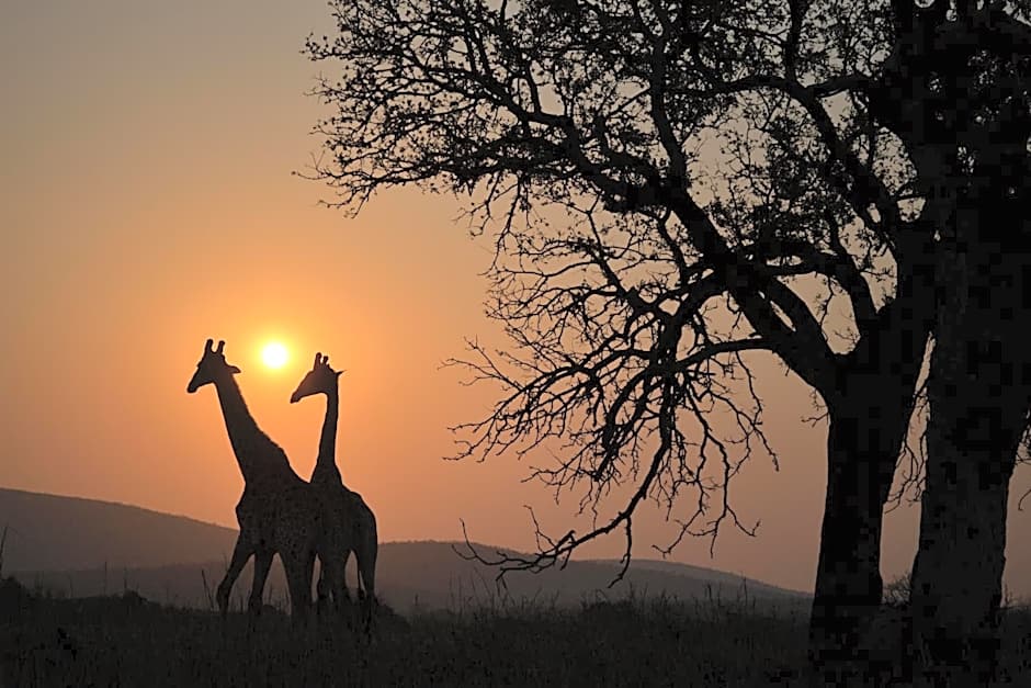 Leopard Mountain Safari Lodge