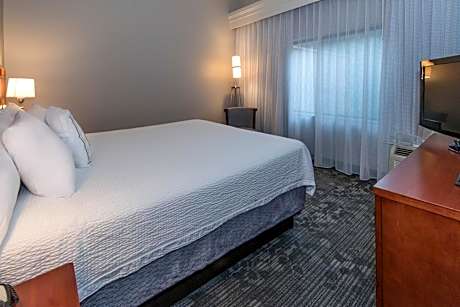 King Suite with Sofa Bed