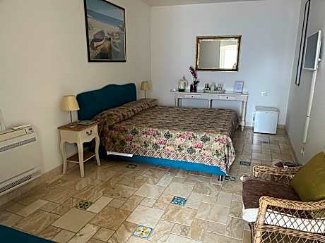 Double or Twin Room with Access to Terrace