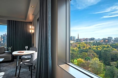 Superior King Suite with City and Garden View