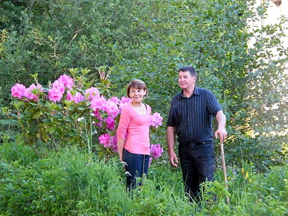 Château des Martinanches