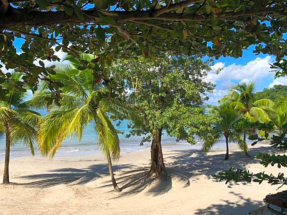 Courbaril Résidence