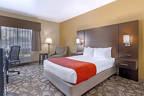 Queen Room with One Queen Bed - Non-Smoking