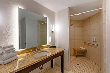 1 King Bed, Nonsmoking Accessible