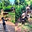 Woodland Gardens Self-Catering & Pet-Friendly Lodge