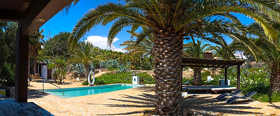 La Almendra y El Gitano