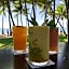Villa Beach Palm Cove