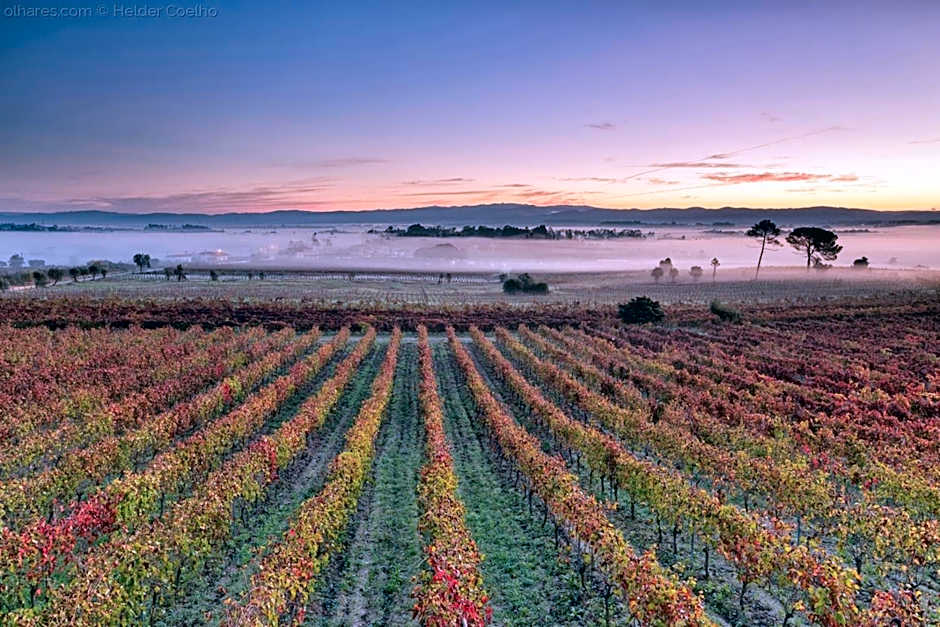 Hotel Do Parque, Boutique Hotel - Curia