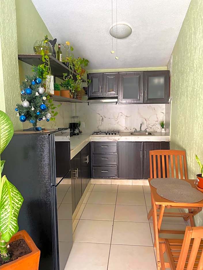 Departamento en Zona Dorada