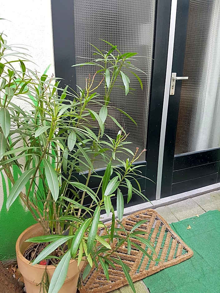 B&B Wladimir Studios