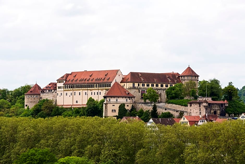 Ibis Styles Tuebingen