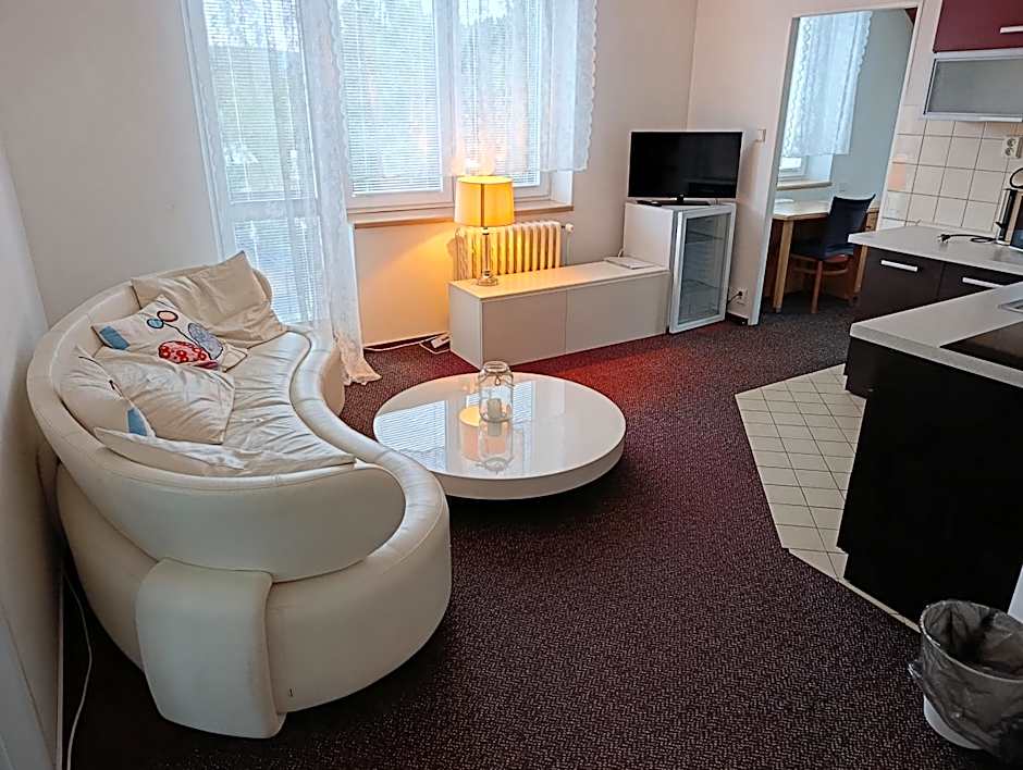 Hotel Harrachov Inn