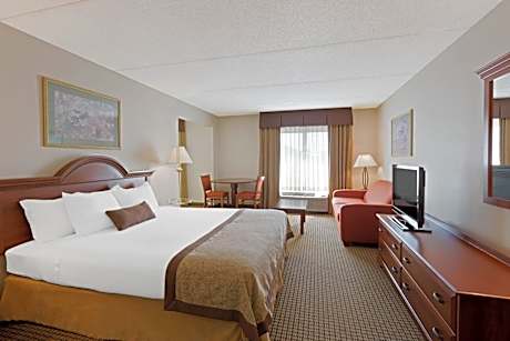 King Studio Suite - Non-Smoking