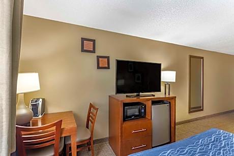 1 Queen Bed, Nonsmoking, Accessible