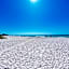 Anna Maria Island Beach Palms 5B