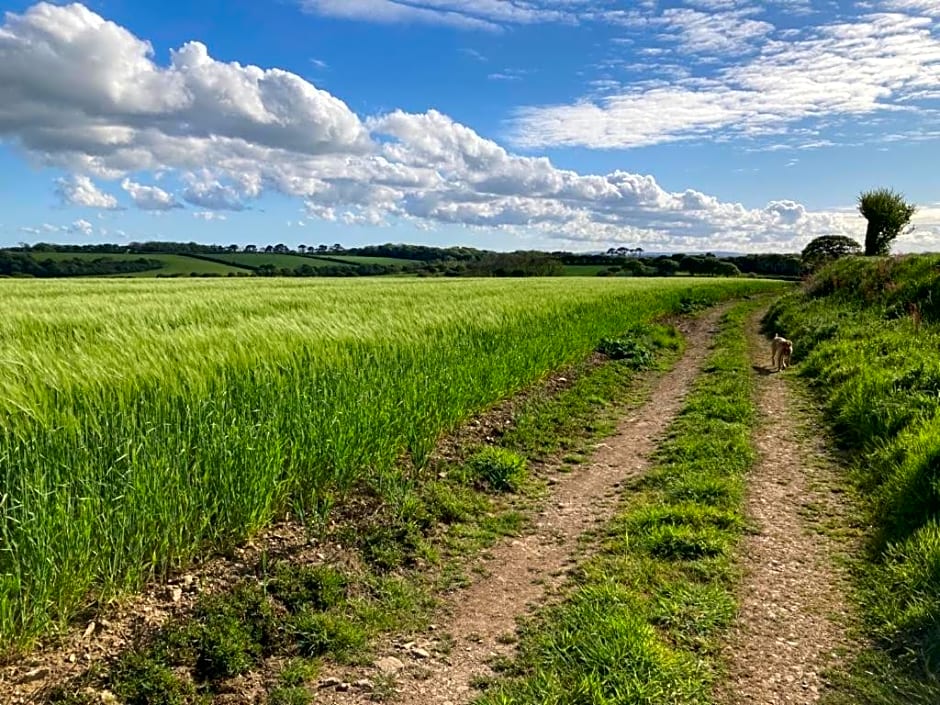 Tresithick Vean Bed and Breakfast