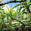 Jardines de Luz