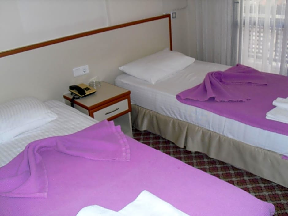 Kerman Hotel