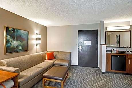 King Bed (with sofa bed)