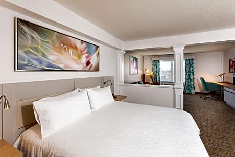 1 KING JR STE MOBILITY ACCESS W/BATHTUB