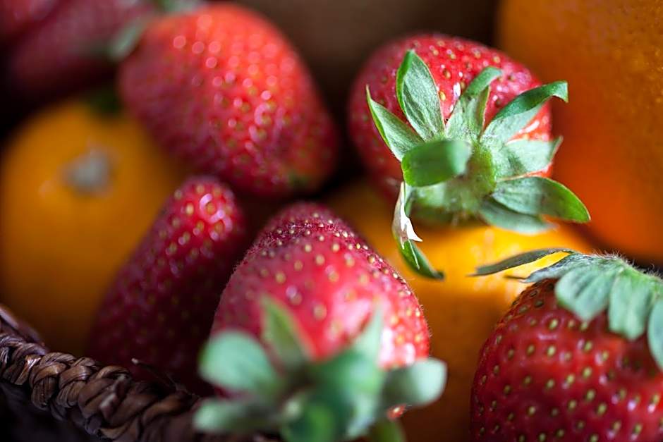 Le Quadri Kuala Lumpur By UCSI Hotels