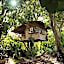 Roots Tree House