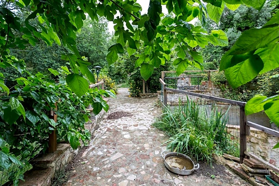 Agriturismo Il Poggio degli Scoiattoli