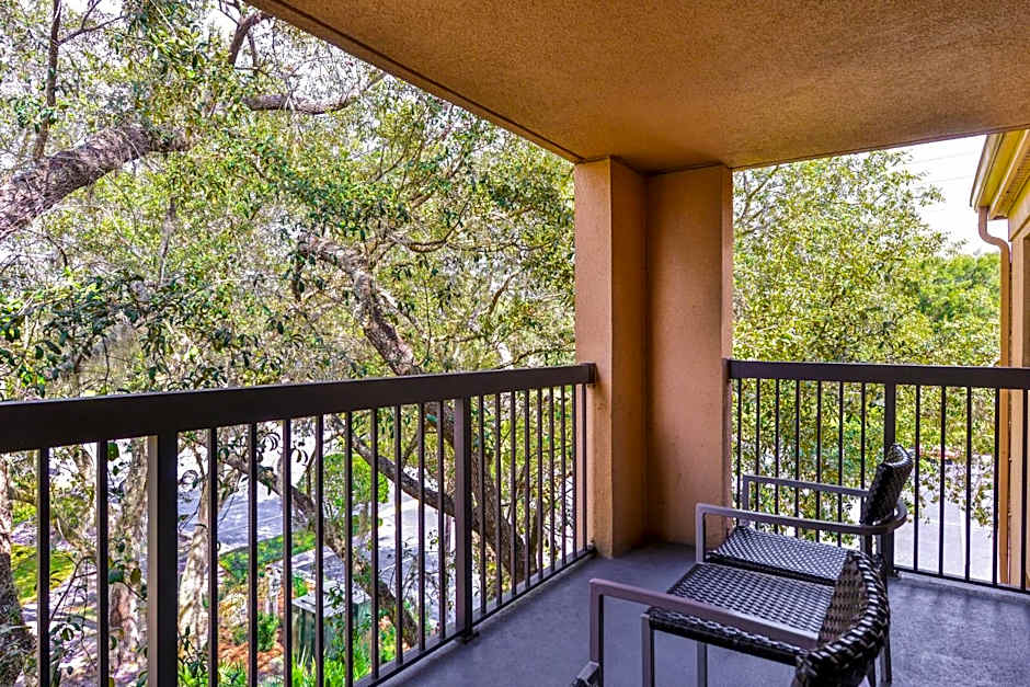 Courtyard by Marriott Tampa North/I-75 Fletcher