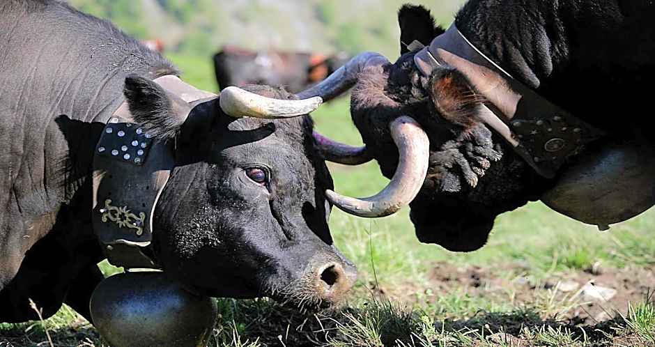 Grand Hôtel & Kurhaus
