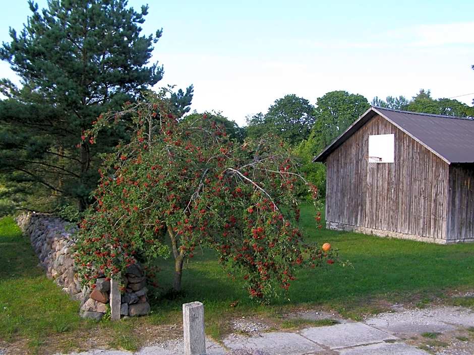 Kipi-Koovi Holiday Centre