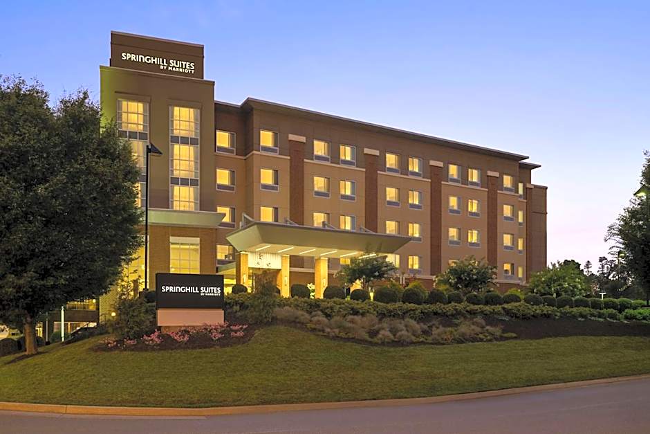 SpringHill Suites by Marriott Roanoke
