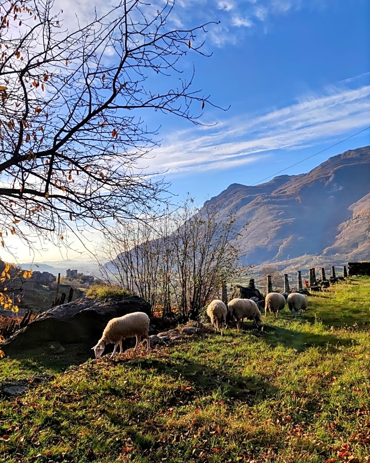 B&B Al Vecchio Torchio