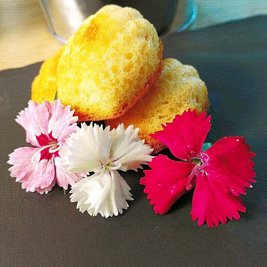 Hotel Libera Caen Colombelles