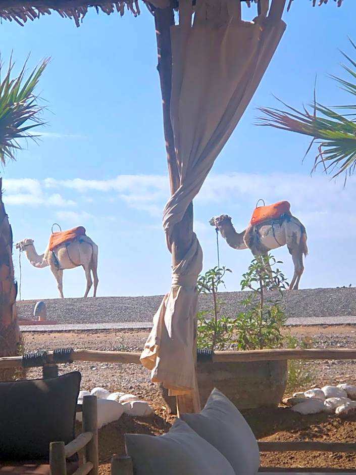 Riad ABBASSIA Marrakech - Authentic Medina Experience