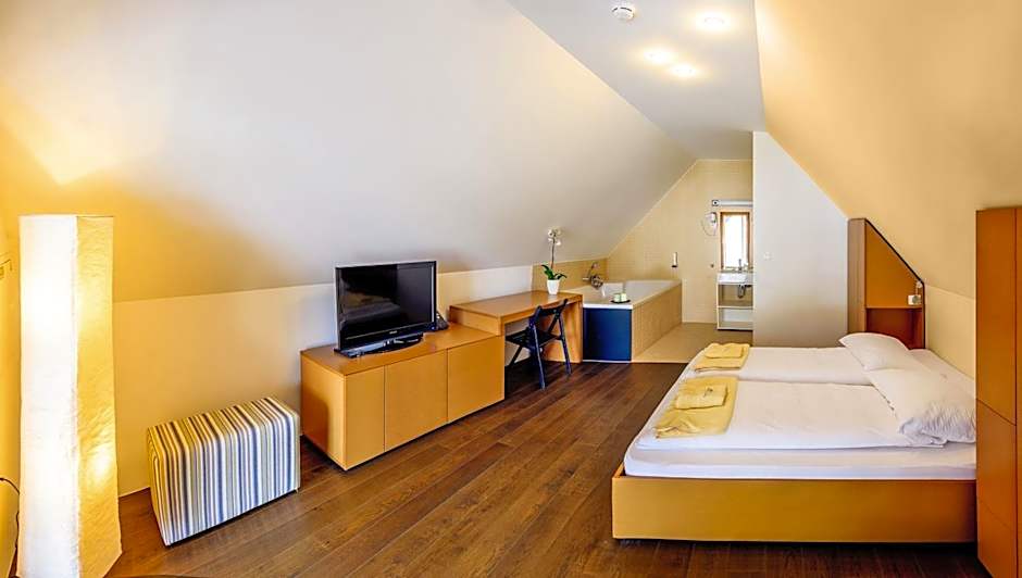 Hotel Sanje ob Soi ***/****