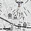 Numa Florence Vita