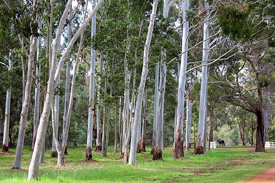 Gilgara Retreat