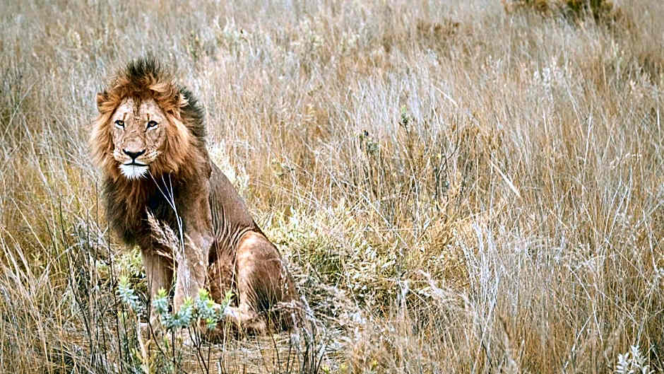 Nkomazi Game Reserve by NEWMARK