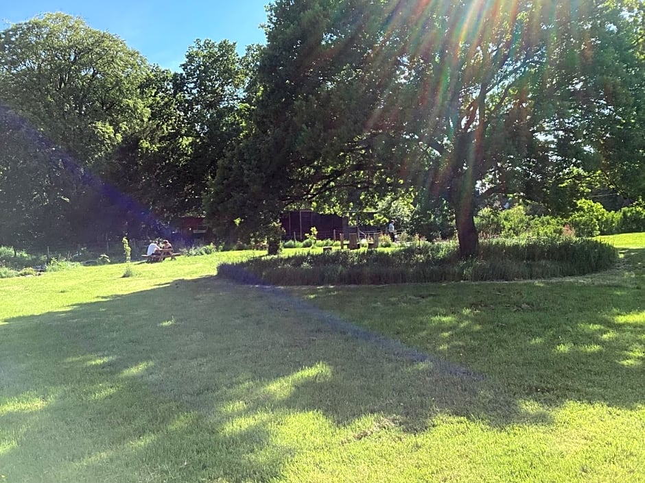 Vigo Retreat cabin 2